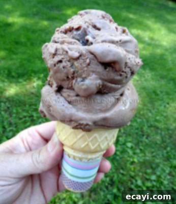 Luscious Chocolate Rum Raisin Bliss 2 A scoop of chocolate rum raisin ice cream on a waffle cone, with a blurred background.