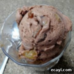 Luscious Chocolate Rum Raisin Bliss 3 A close up photo of creamy chocolate rum raisin ice cream in a clear dish, ready to be enjoyed.