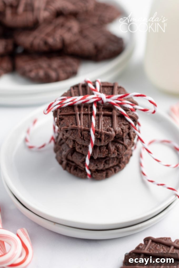 Chocolate mint cookies with pretty chocolate drizzles are easy to make and are great for Christmas cookie exchanges! Soft, chewy, and minty! stack of chocolate cookies tied with twine