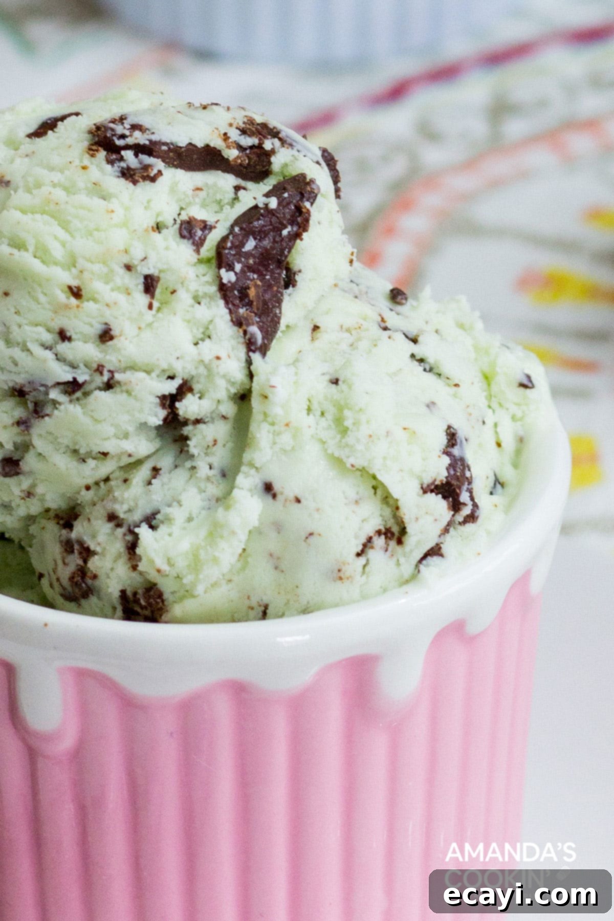 Creamy Homemade Mint Chocolate Chip Delight 2 MINT CHOCOLATE CHIP ICE CREAM IN PINK DISH