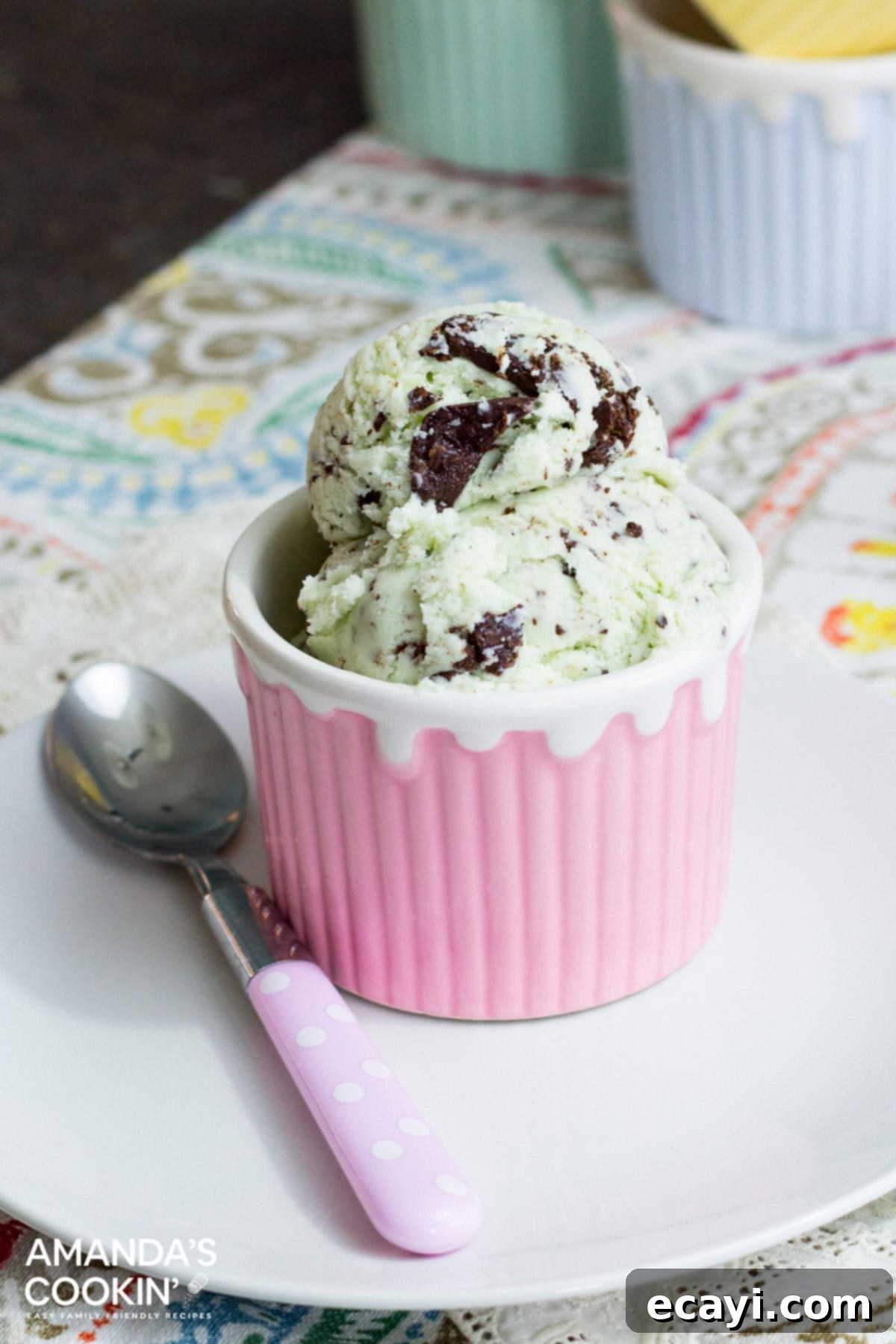 Creamy Homemade Mint Chocolate Chip Delight 3 bowl of mint chocolate chip ice cream