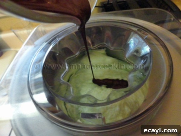 Homemade Mint Chocolate Chip Ice Cream Homemade Mint Chocolate Chip Ice Cream