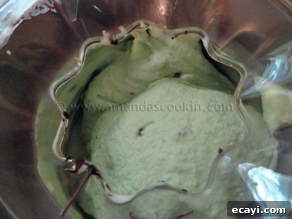 ice cream maker A close up of a ice cream maker churning ice cream