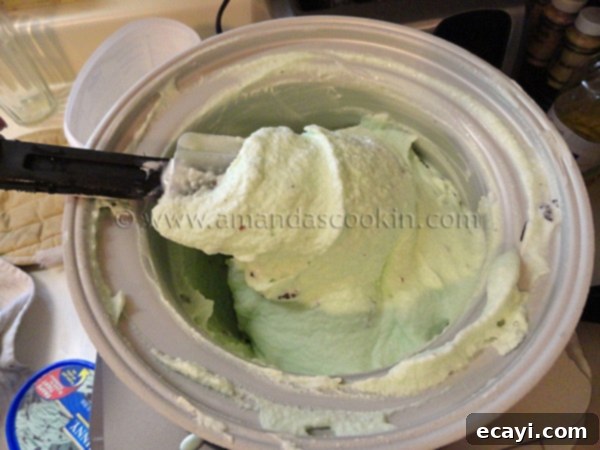 ice cream done rubber spatula lifting churned ice cream from ice cream maker