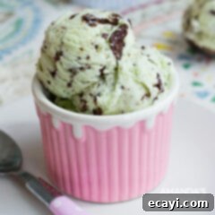 Creamy Homemade Mint Chocolate Chip Delight 5 bowl of ice cream