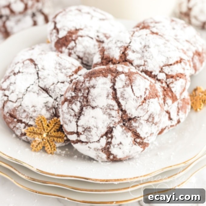 The Ultimate Christmas Cookie Collection: 12 Days 11 Chocolate crinkle cookies dusted with powdered sugar, resembling snow