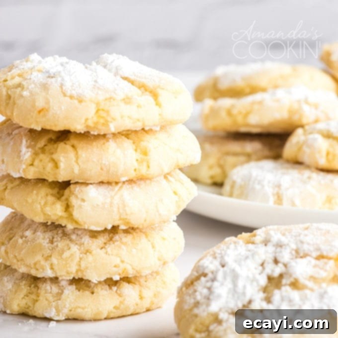 The Ultimate Christmas Cookie Collection: 12 Days 3 Stack of bright orange snow cookies dusted with powdered sugar