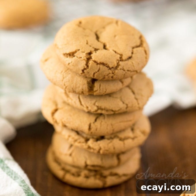 The Ultimate Christmas Cookie Collection: 12 Days 4 Stacked homemade gingersnap cookies with a crinkled surface