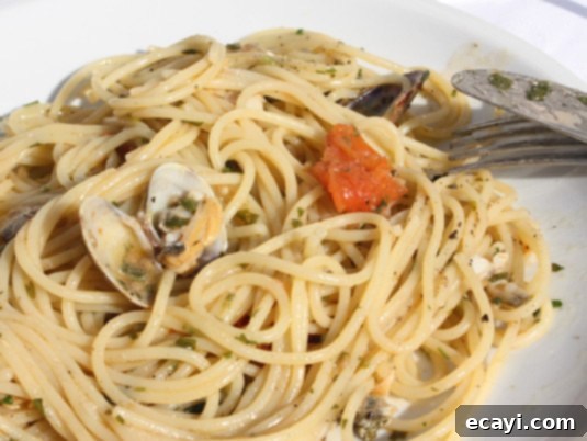 Spaghetti alle vongole, a superb Italian pasta dish in all its simple glory Spaghetti alle vongole, an exquisite and simply prepared Italian pasta dish celebrating fresh clams