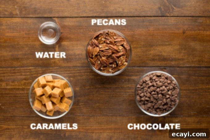 Simple ingredients for homemade chocolate turtles: toasted pecans, soft caramel, and rich chocolate for a salty-sweet treat. Key ingredients laid out for making chocolate turtle candies: pecans, unwrapped caramels, water, and chocolate chips