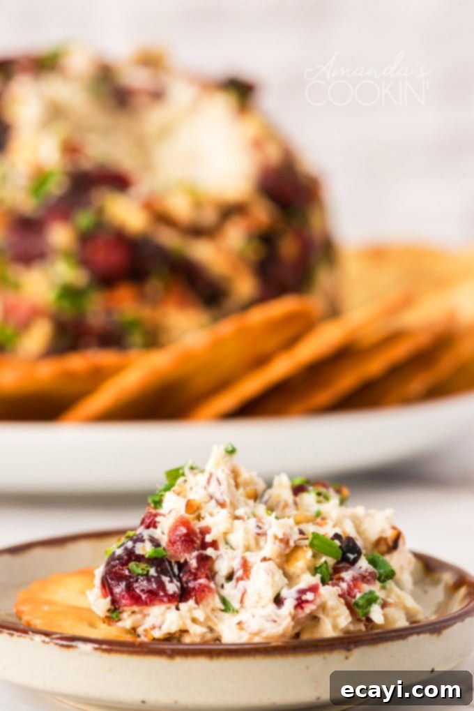 Creamy Cheese Mixture with Cranberries and Pecans for Easy Spreading A close-up of the creamy cheese mixture spread on a cracker, highlighting the textures and ingredients.