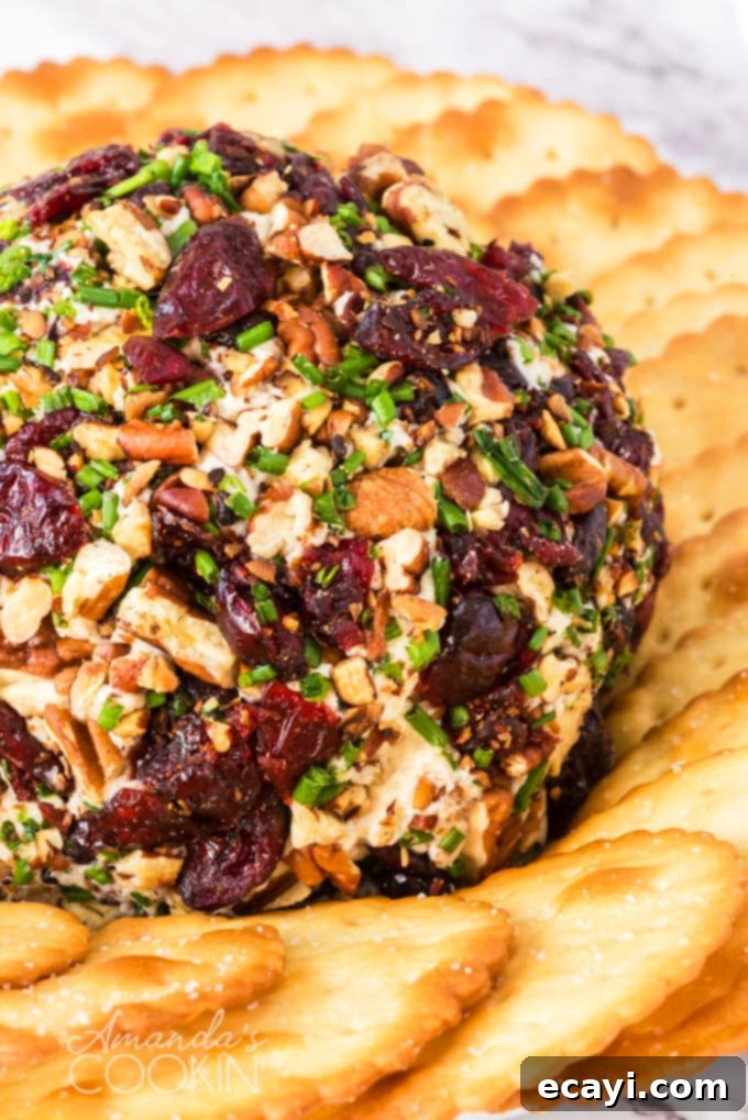 Cranberry Cheese Ball Served with Crackers for a Festive Appetizer A finished cranberry cheese ball, elegantly presented with a variety of crackers on a serving platter.