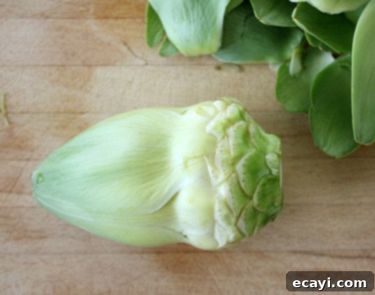 Peeling Artichoke Leaves Step 2: Peeling the tough outer leaves of an artichoke