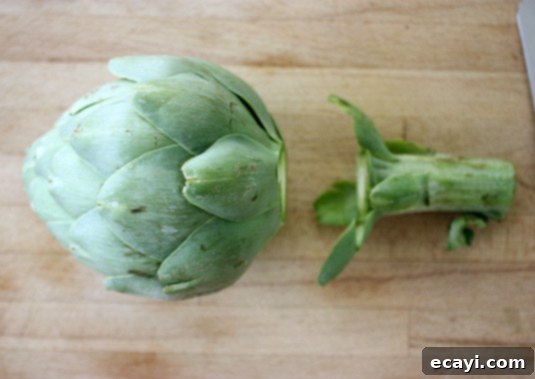 Cutting Artichoke Stem Step 1: Cutting the stem off a fresh artichoke
