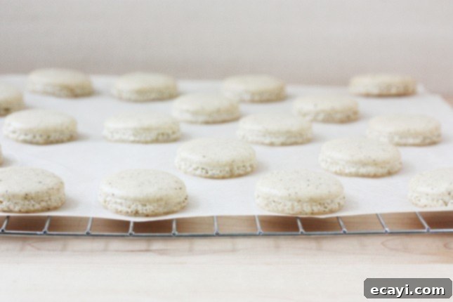 Bake Perfect French Macarons A Visual Masterclass 12 Vanilla bean macaron shells // FoodNouveau.com