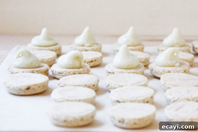 Bake Perfect French Macarons A Visual Masterclass 13 Vanilla French macarons with vanilla bean filling // FoodNouveau.com