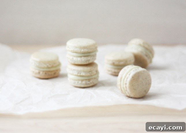 Bake Perfect French Macarons A Visual Masterclass 14 Vanilla Bean French Macarons // FoodNouveau.com