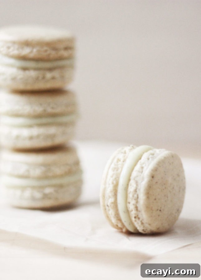Bake Perfect French Macarons A Visual Masterclass 15 Basic French Macaron Recipe: Vanilla Bean Macarons // FoodNouveau.com