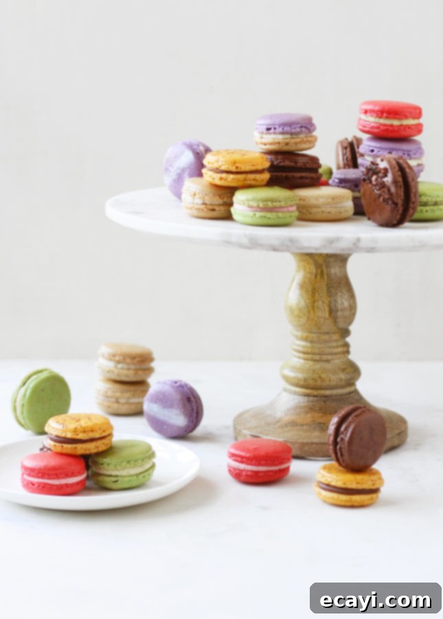 Bake Perfect French Macarons A Visual Masterclass 2 How to Make French Macarons: A Detailed Step-by-Step Recipe by FoodNouveau.com
