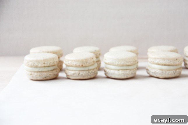 Bake Perfect French Macarons A Visual Masterclass 3 How to Make French Macarons, a Detailed, Step-by-Step Recipe with Video // FoodNouveau.com