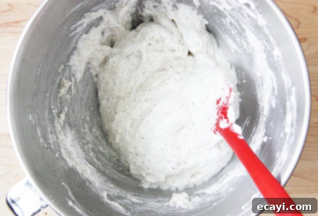 Bake Perfect French Macarons A Visual Masterclass 6 Macaronnage, a crutial step in French macaron-making // FoodNouveau.com