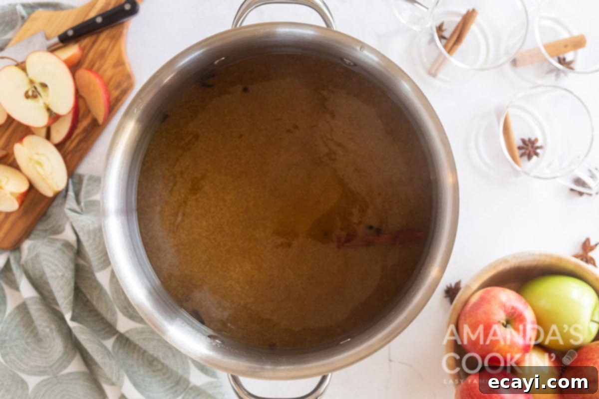 Autumn Apple Comfort 3 hot cider ingredients in a pot