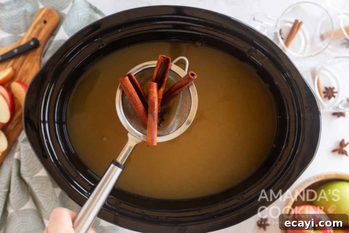 Autumn Apple Comfort 4 strainer with cinnamon sticks