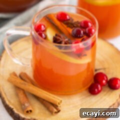Autumn Apple Comfort 5 glass mug of hot apple cider