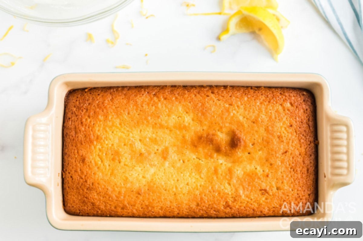 Starbucks Zesty Lemon Loaf 9 baked lemon loaf on loaf pan