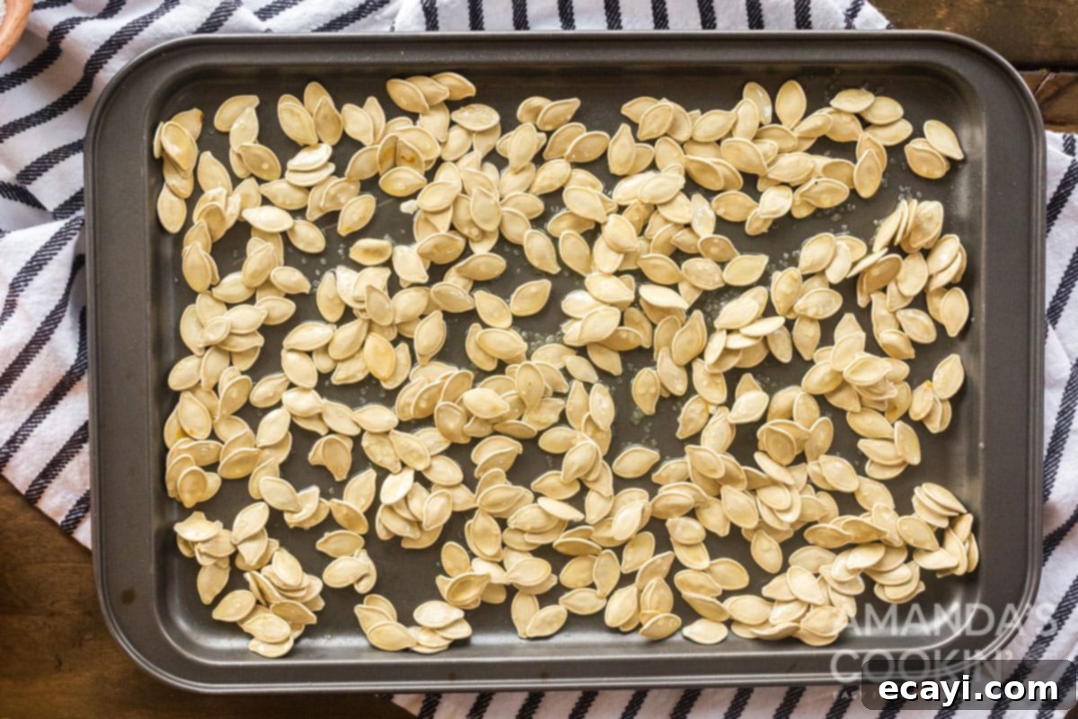 Seasoned pumpkin seeds spread on a pan, ready for the oven A baking sheet neatly arranged with seasoned pumpkin seeds in a single layer, glistening and ready to be placed into the oven.
