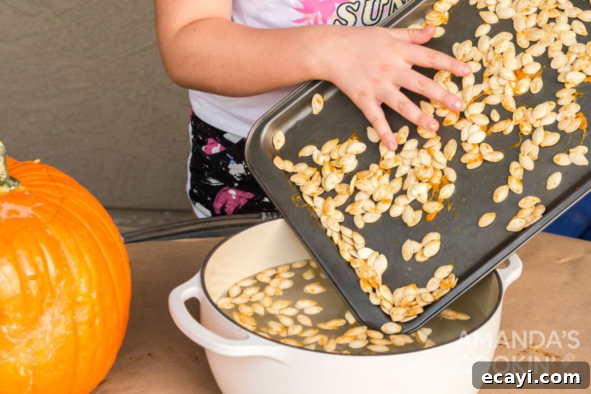Boiling pumpkin seeds to easily remove pulp A child carefully adding a handful of cleaned pumpkin seeds into a pot of water on the stovetop, preparing them for boiling.
