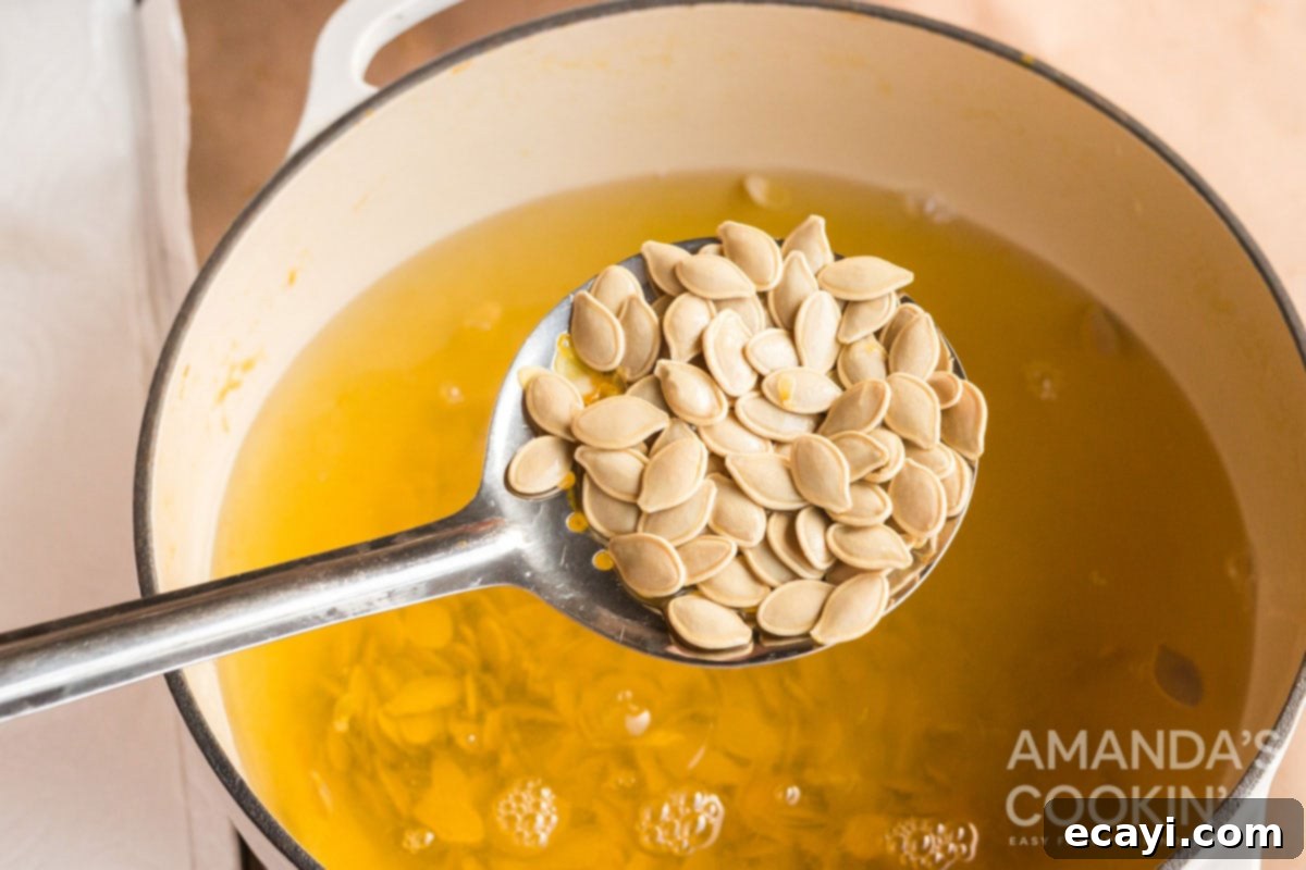 Pumpkin seeds after boiling and draining A ladle filled with freshly boiled and drained pumpkin seeds, showing their clean and separated state after the boiling process.