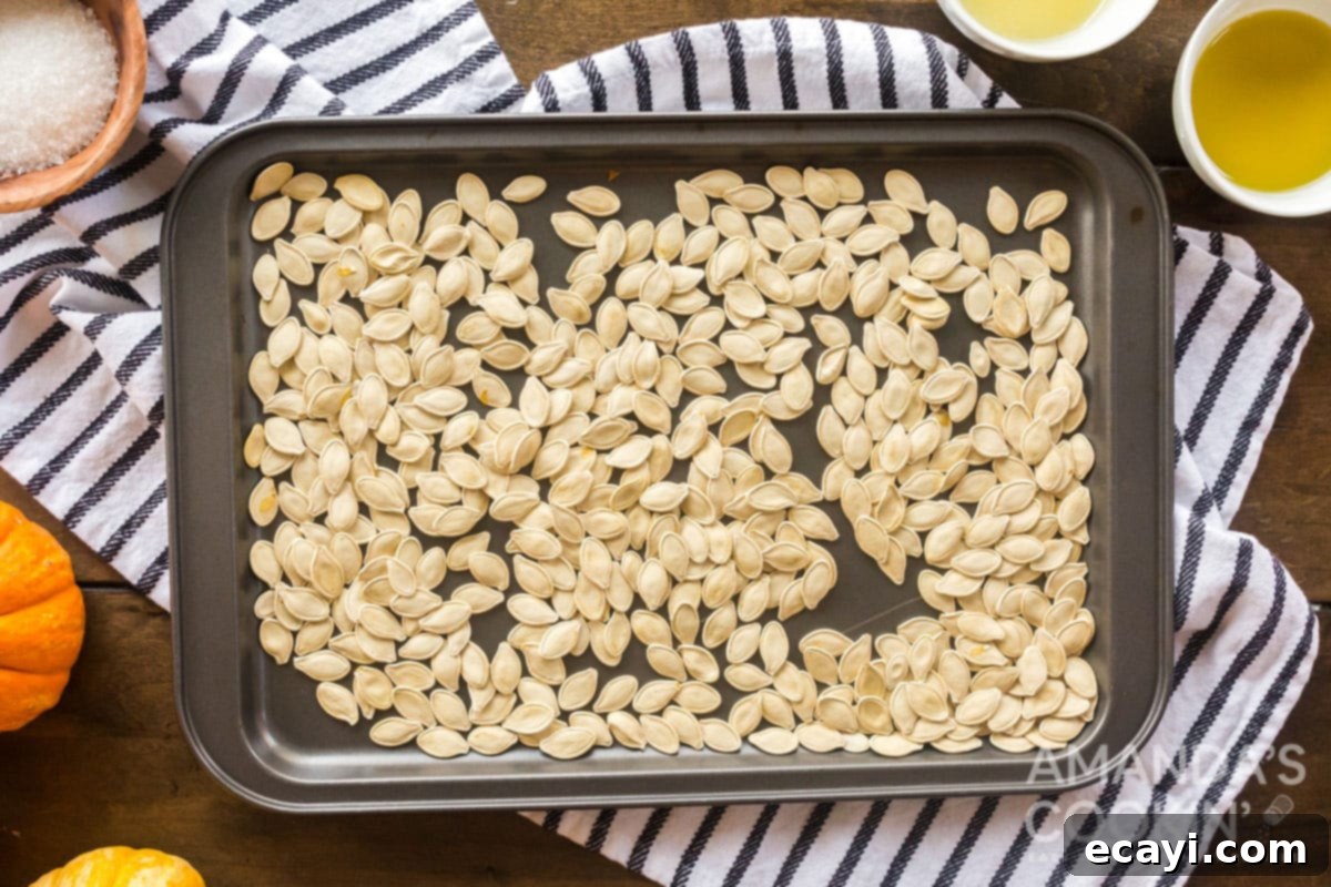 Pumpkin seeds air-drying overnight for optimal crispiness A baking sheet filled with clean pumpkin seeds that have thoroughly dried overnight, ready for seasoning and roasting.