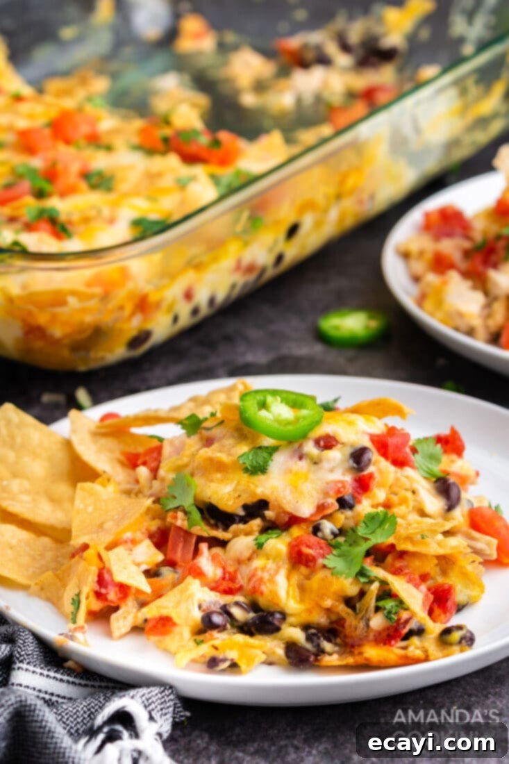 Enjoy this delicious Mexican Chicken Casserole, a perfect family meal with easy prep and amazing flavor! A single serving of Mexican Chicken Casserole on a plate, garnished with cilantro and tomato