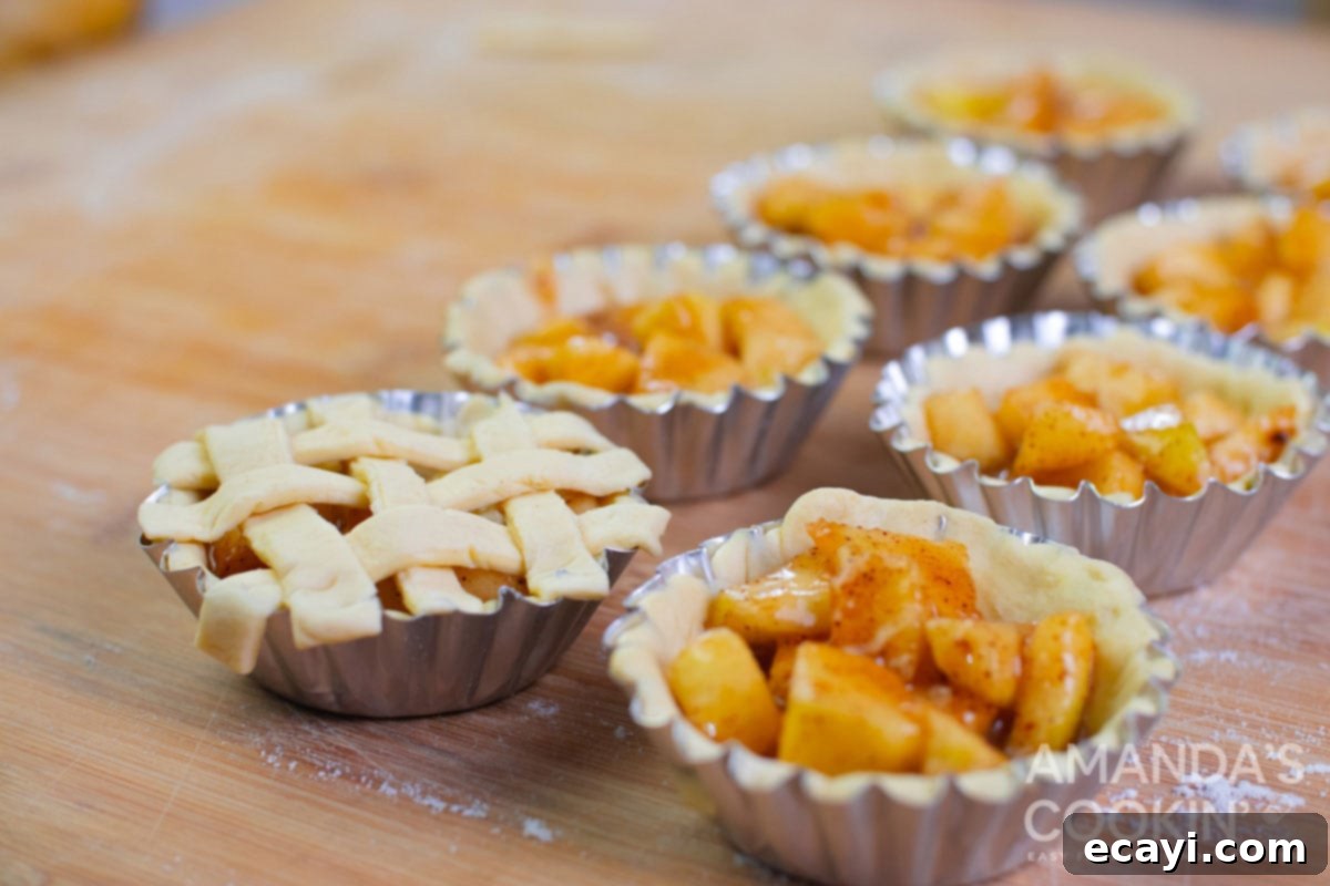Petite Apple Pies 11 lattice top on a mini pie