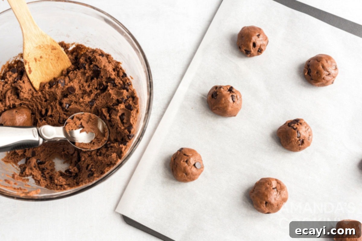 Cozy Cocoa Cookies 11 Uniformly portioned cookie dough balls neatly arranged on a prepared baking sheet before the first bake.