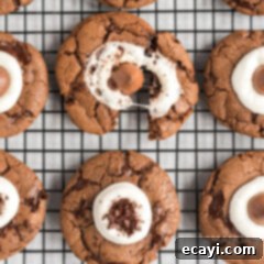 Cozy Cocoa Cookies 17 A hot cocoa cookie pulled apart, showcasing its soft, chewy interior and the wonderfully melted marshmallow topping.