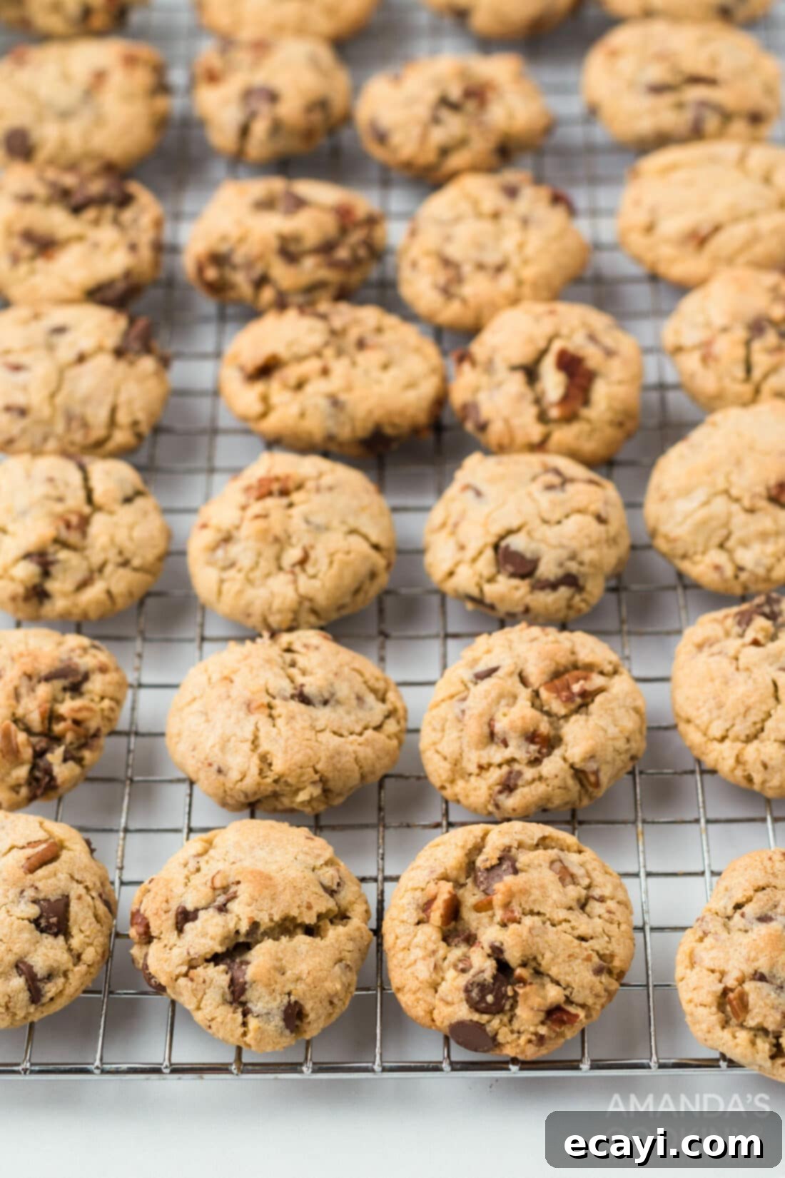 Legendary Neiman Marcus Cookies 2 Freshly baked Neiman Marcus cookies cooling on a wire rack, showcasing their rich chocolate and nut topping.