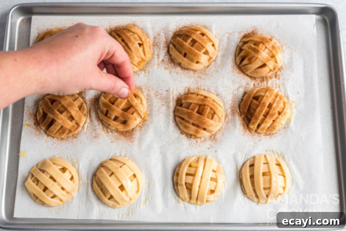 Apple Pie Delights 14 sprinkling cinnamon sugar mixture generously over the egg-washed apple pie cookies