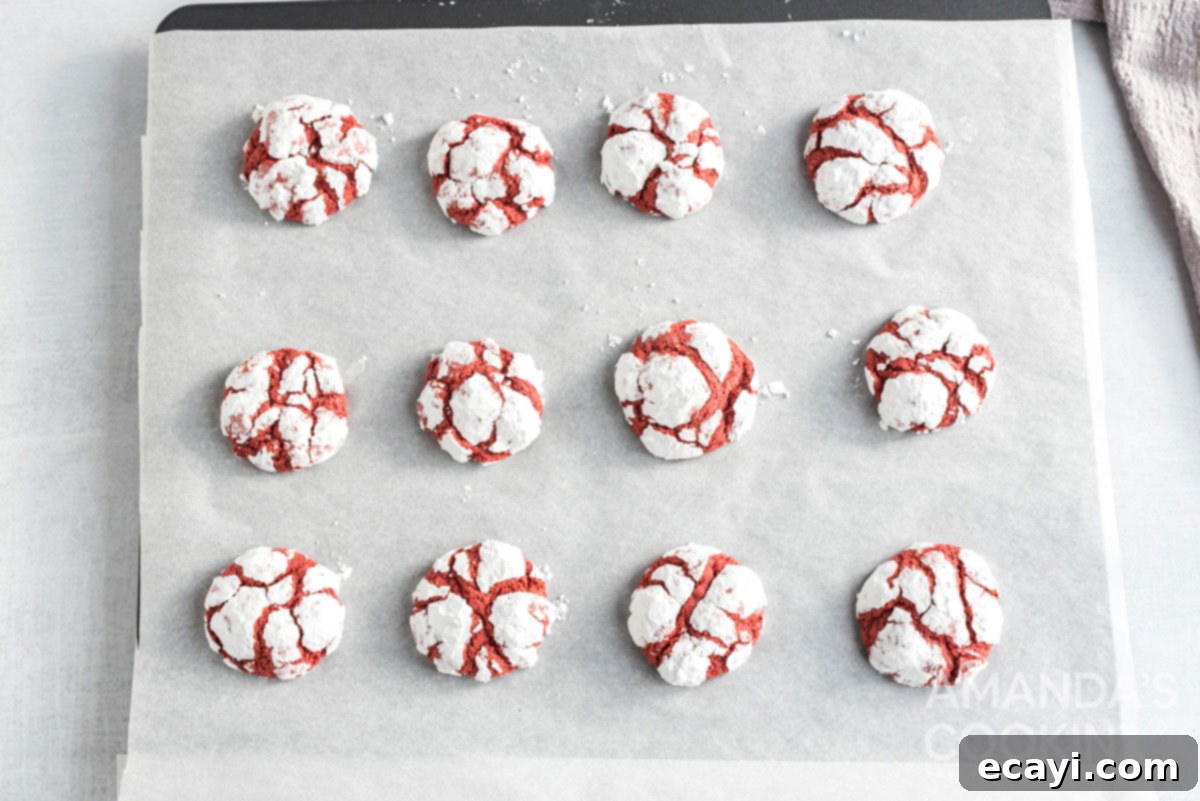 Velvet Crimson Crinkles 12 cookies on cookie sheet