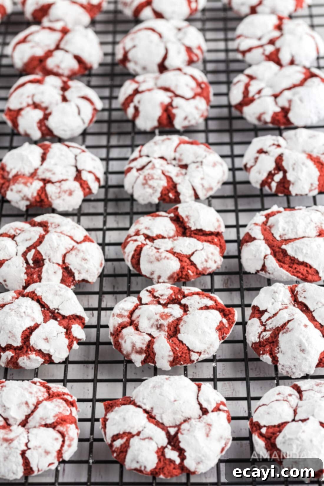 Velvet Crimson Crinkles 13 wire rack of red velvet crinkle cookies