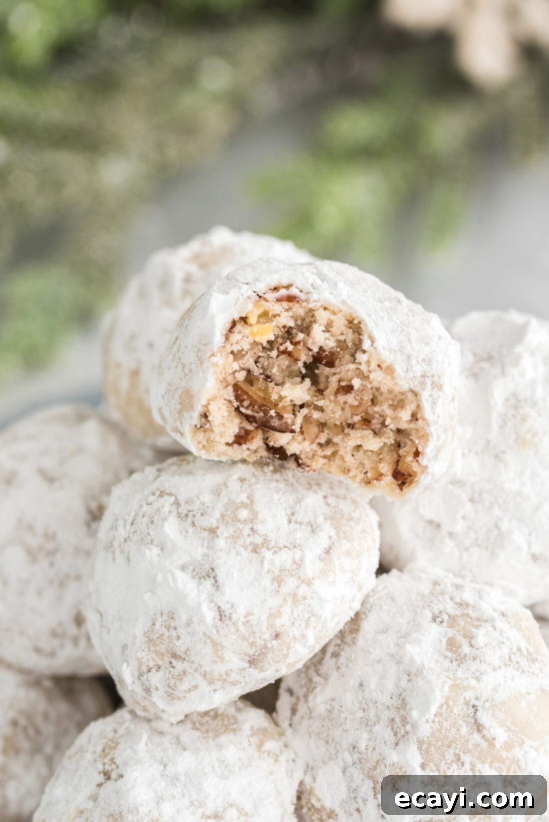 Snowball Cookies 14 A pecan snowball cookie with a delicate bite taken out, showcasing its crumbly texture and nutty interior