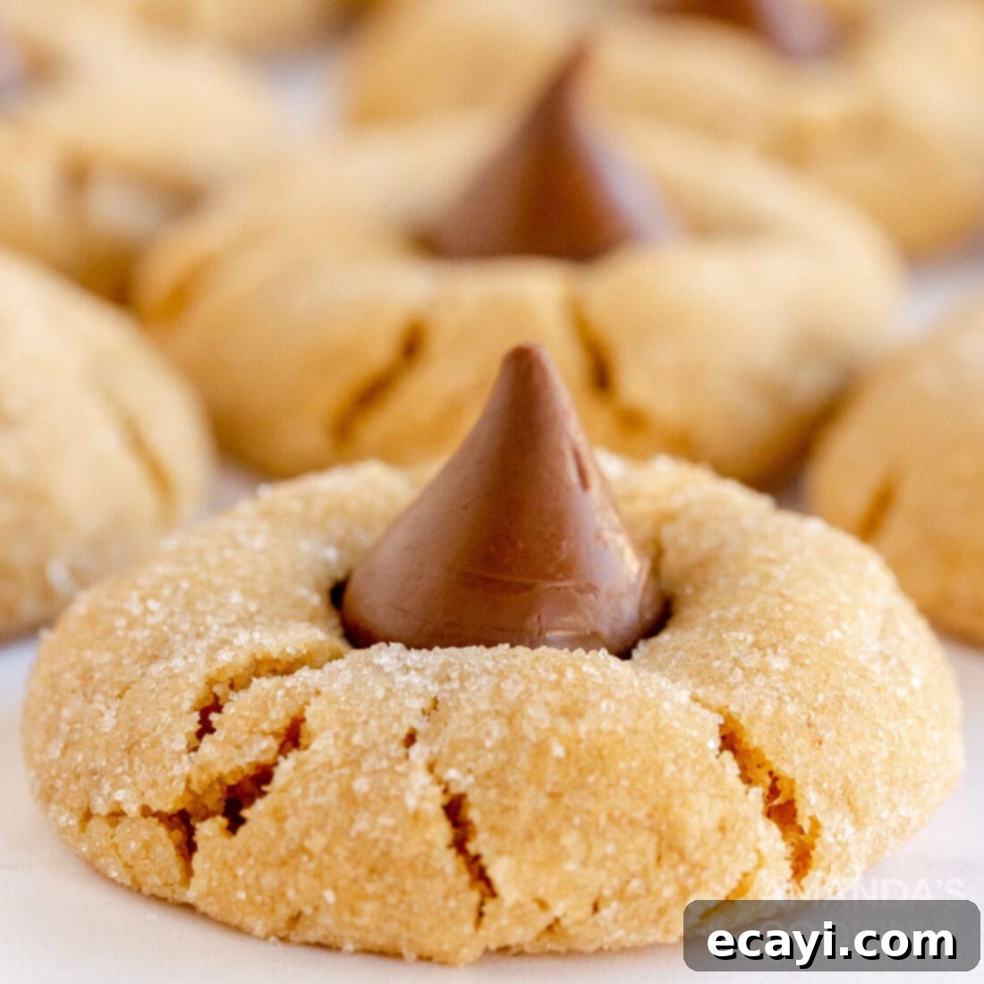 The 2020 Christmas Cookie Countdown: Twelve Days of Sweet Delights 7 Classic Peanut Butter Blossoms, topped with a chocolate kiss, on a baking sheet.