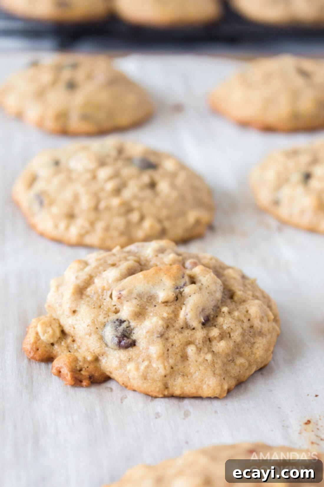 Chewy Oat Delights 8 Baked oatmeal cookies cooling on parchment paper on a baking sheet, with golden edges