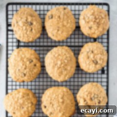 Chewy Oat Delights 10 Freshly baked chewy oatmeal cookies with chocolate chips and nuts cooling on a wire rack