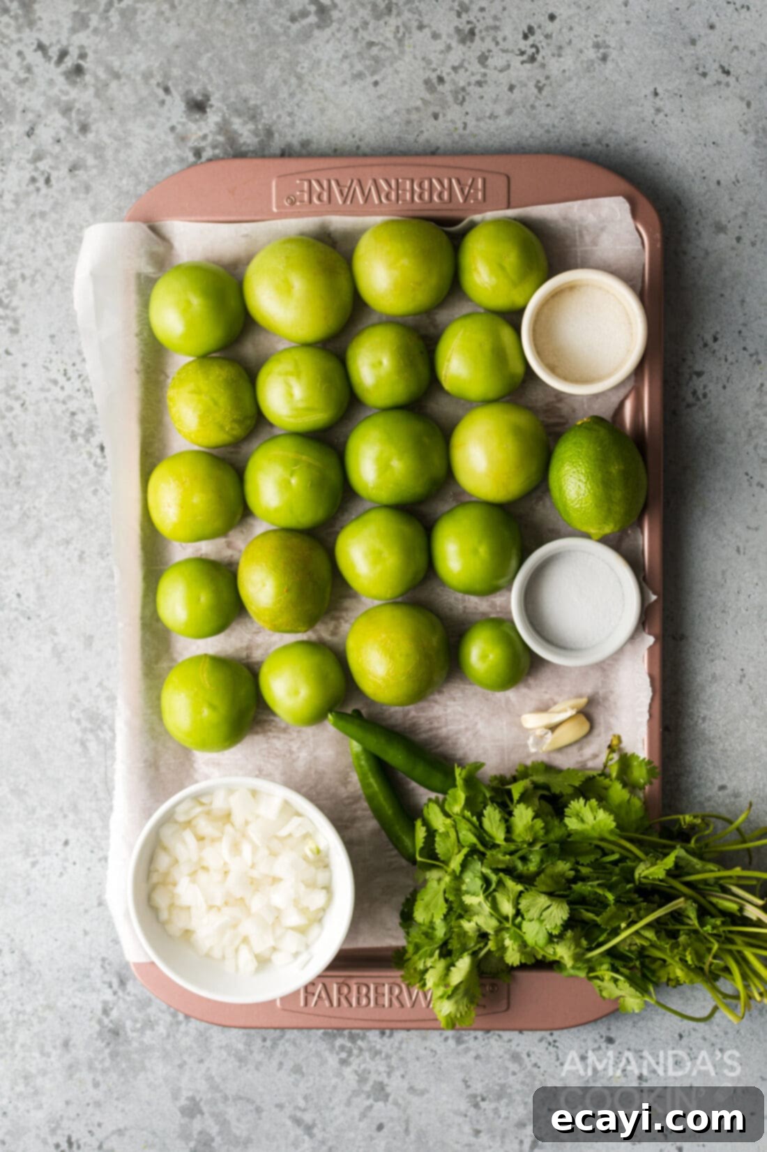 Green Salsa 4 A vibrant flat lay showcasing all the fresh ingredients needed for salsa verde: tomatillos, serrano peppers, cilantro, white onion, garlic, and lime, neatly arranged on a white background.