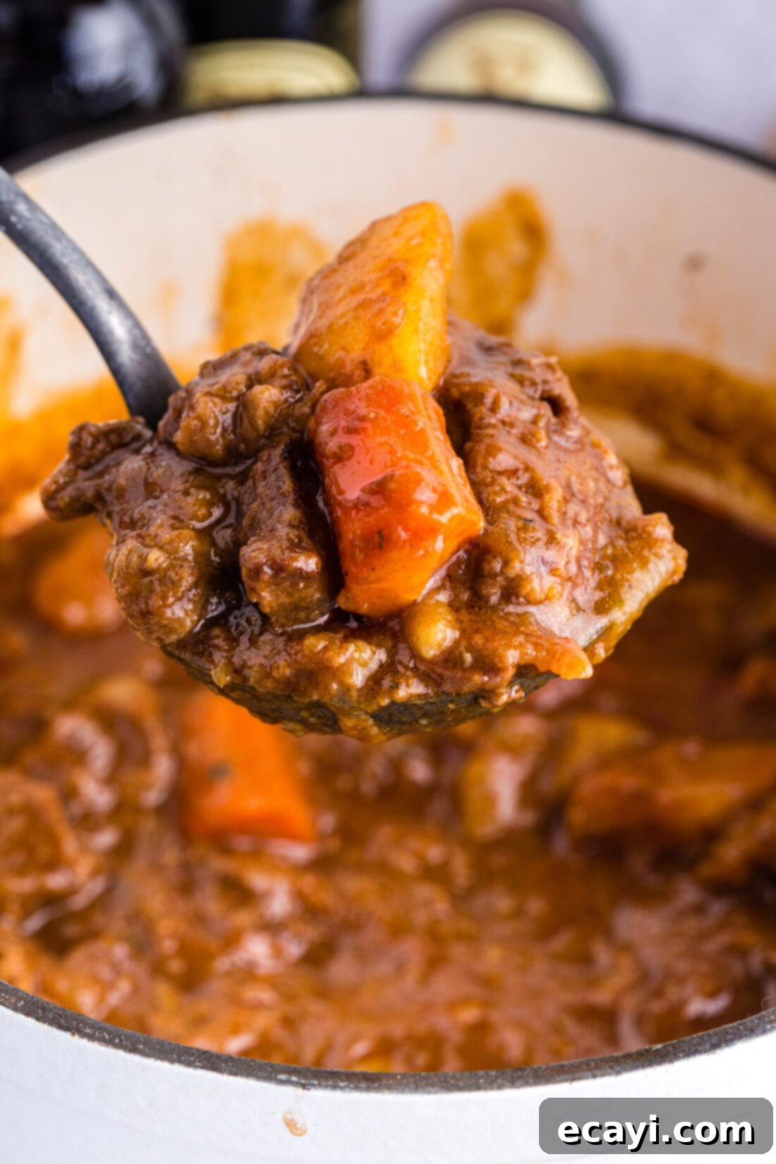 Hearty Irish Stew 3 ladle full of succulent Irish stew