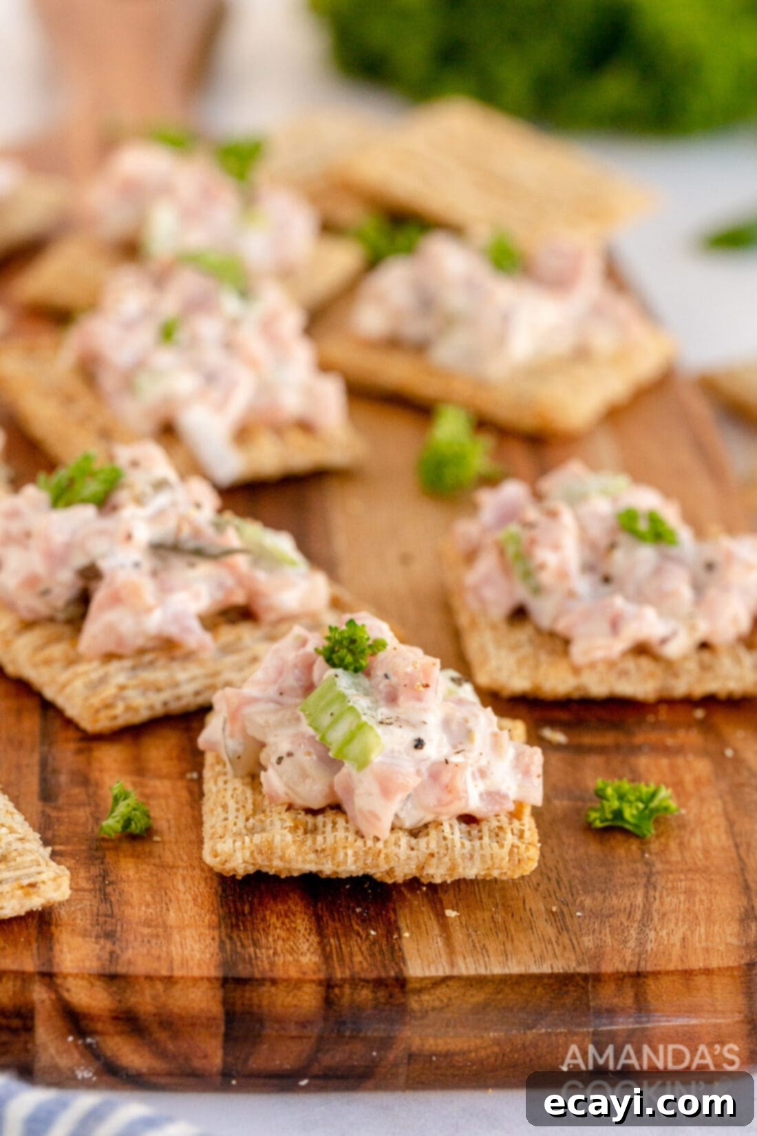 Classic Deli Ham Salad 11 ham salad on crackers
