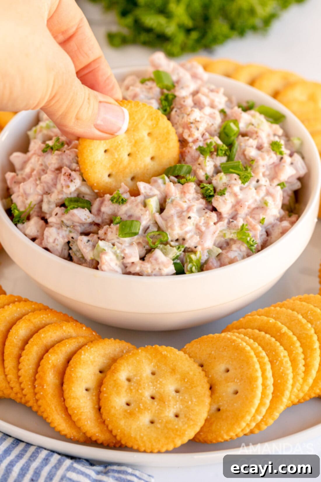 Classic Deli Ham Salad 3 dipping cracker in ham salad