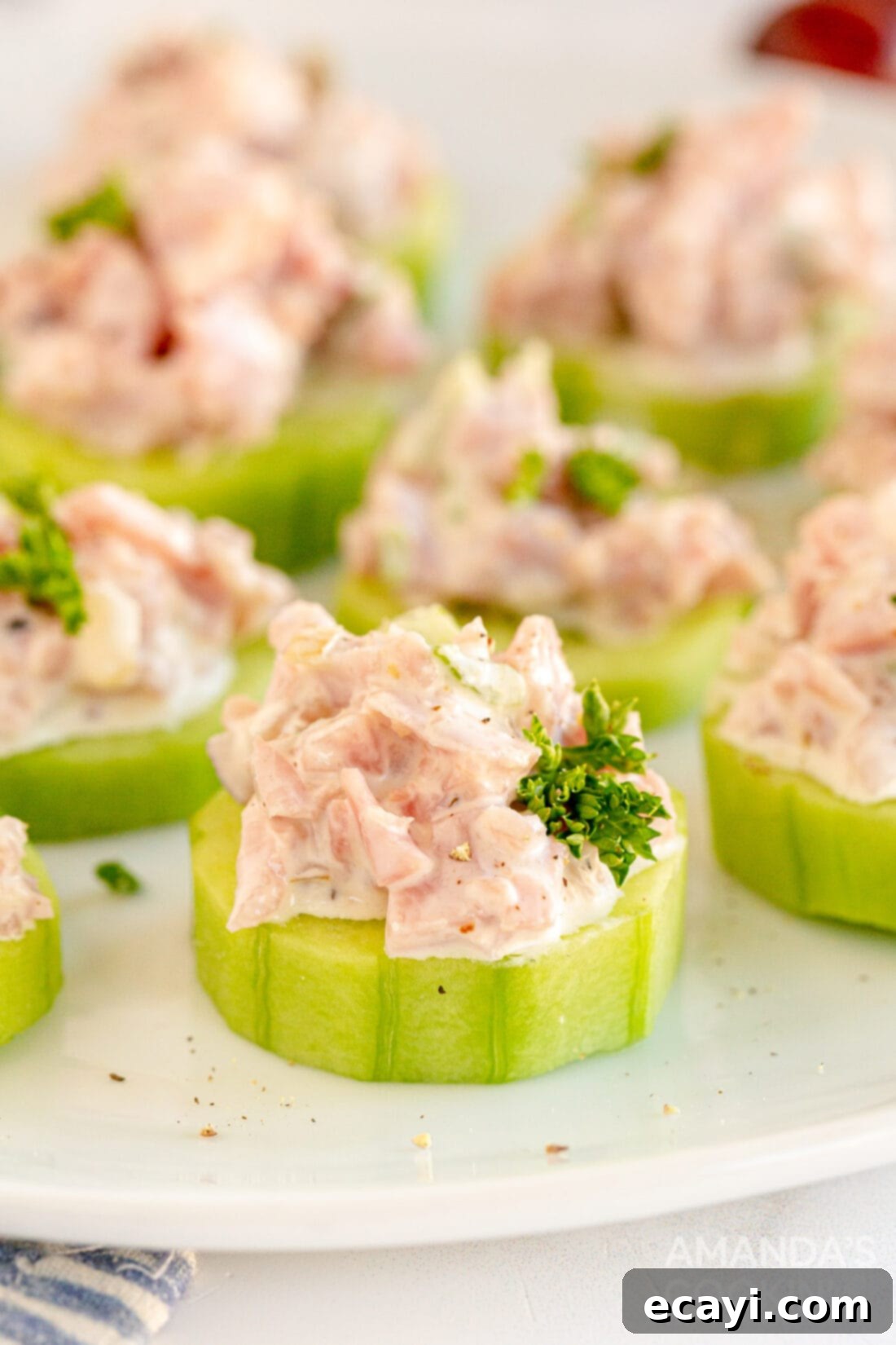 Classic Deli Ham Salad 10 ham salad on cucumber coins